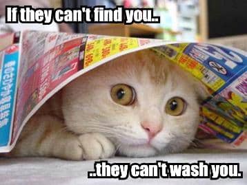 if-they-cant-find-you-they-cant-wash-you.jpg