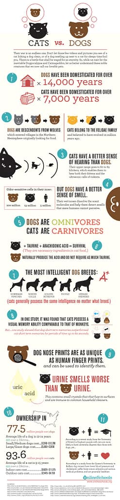onlineschool_cats-vs-dogs