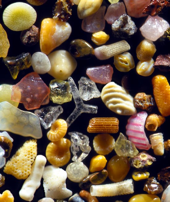 Sand grains from Maui, Hawaii Magnified 125x