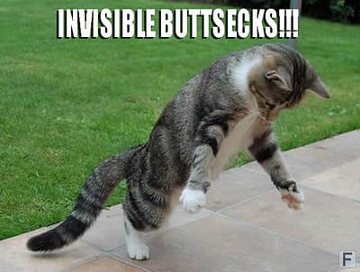 invisible_buttsecks.jpg