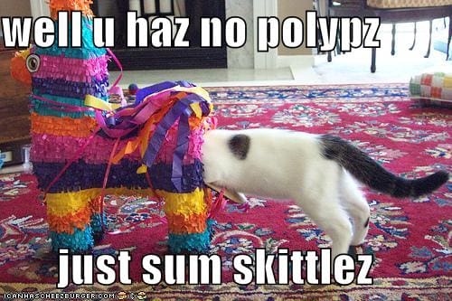 funny-pictures-doctor-cat-inspects-pinata