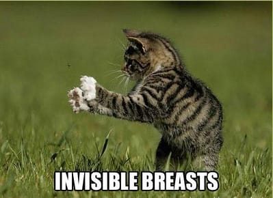 invisiblebreasts1.jpg